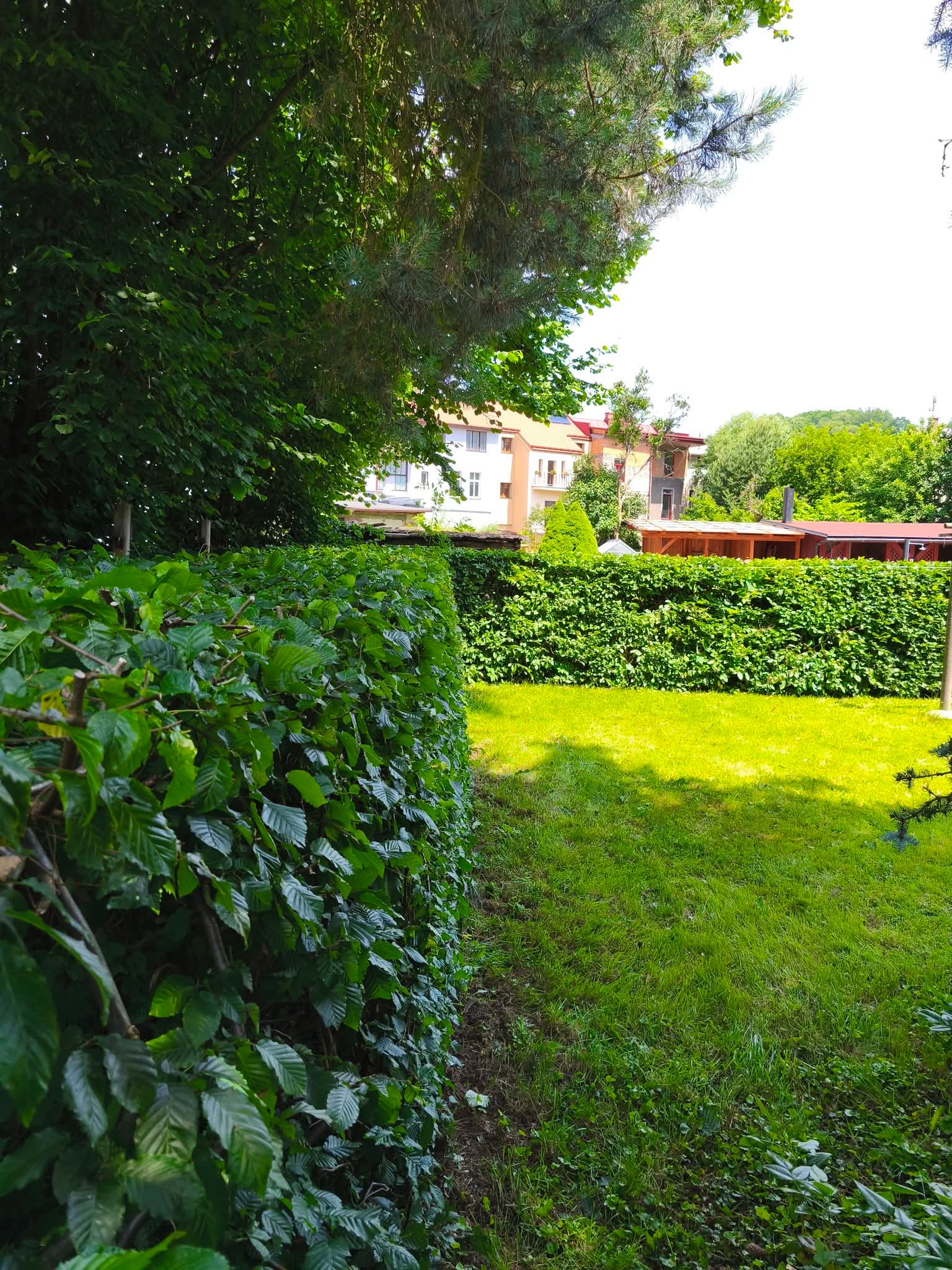 obrázek naší práce