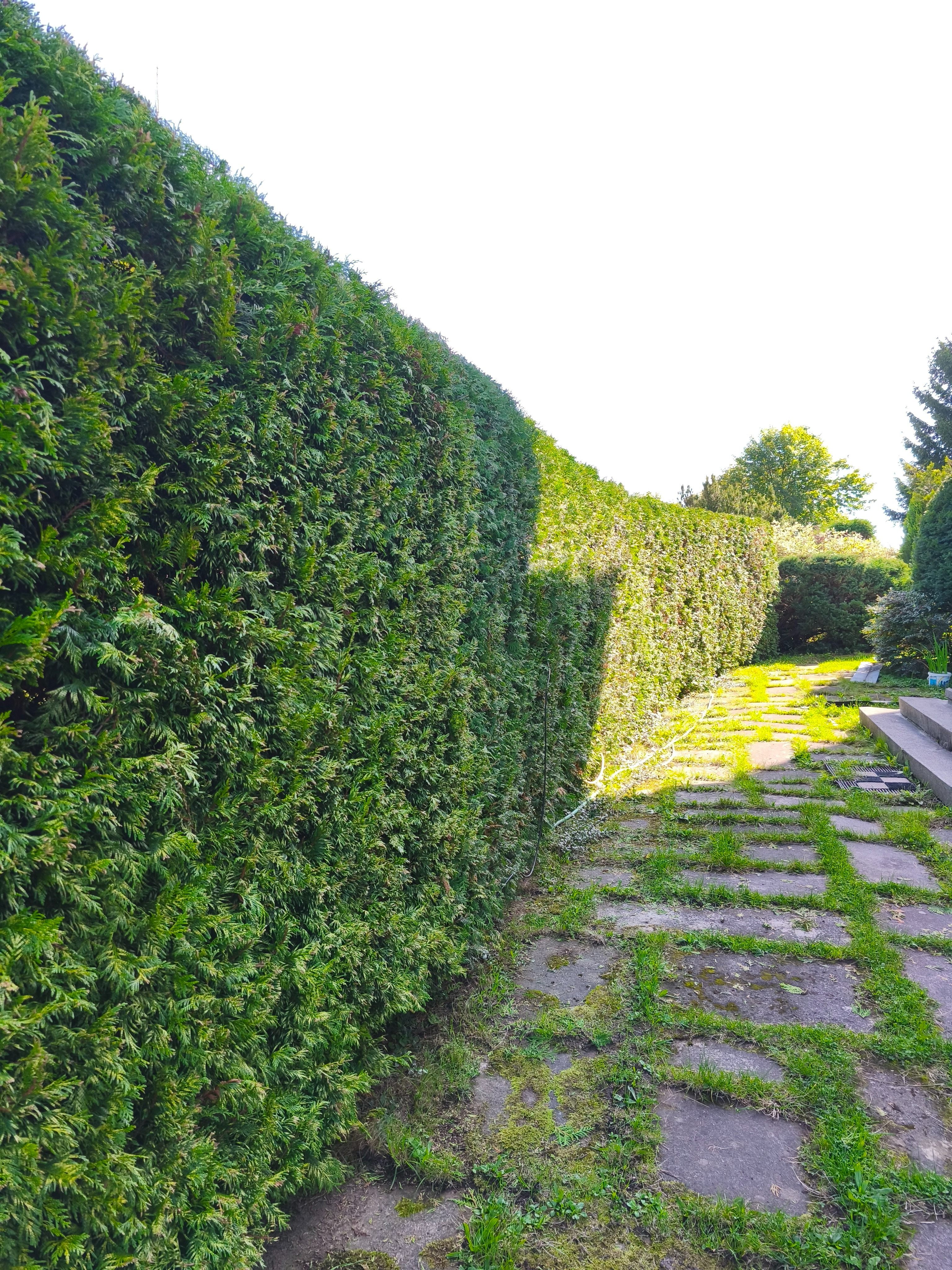 obrázek naší práce