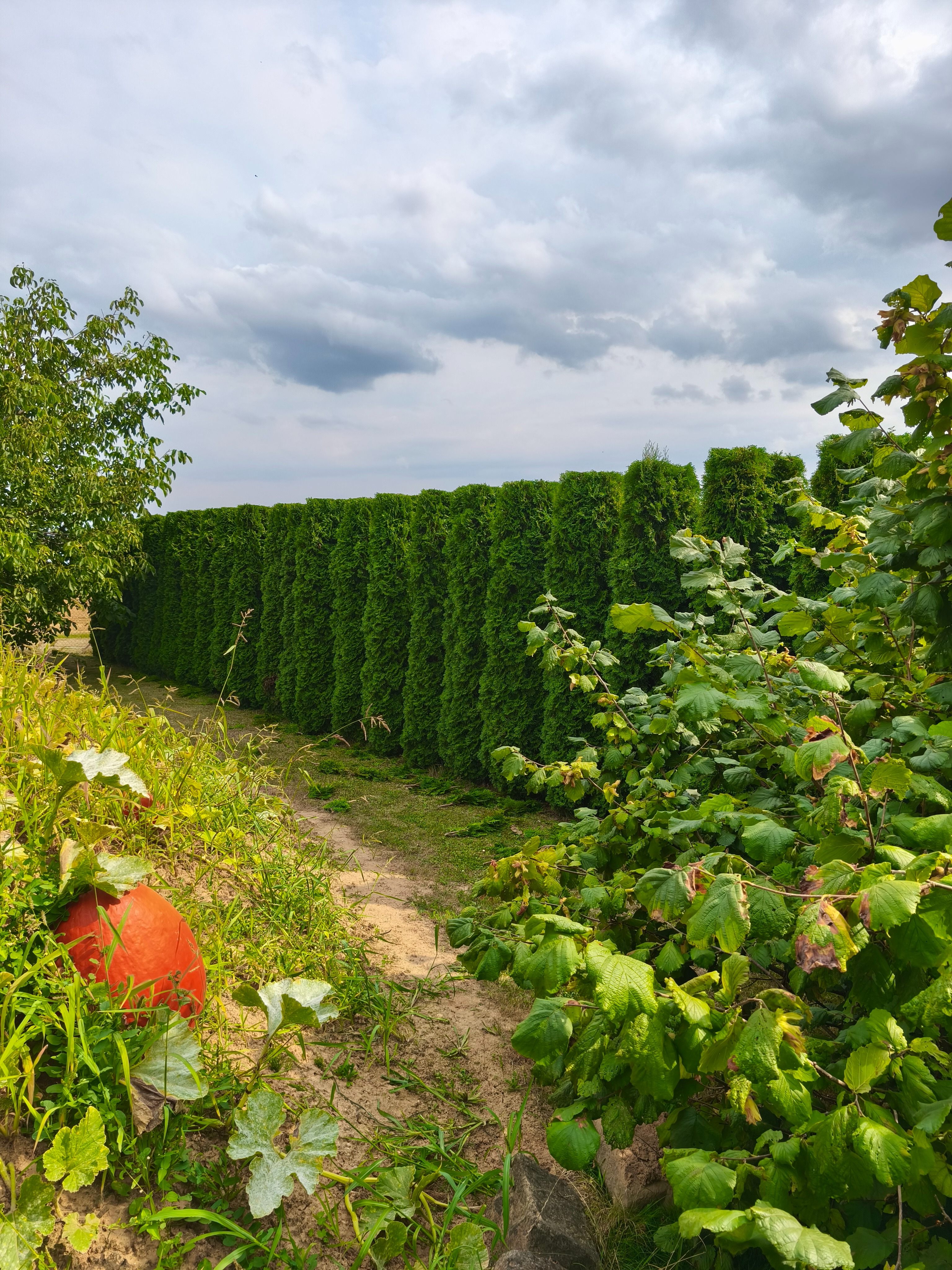 obrázek naší práce