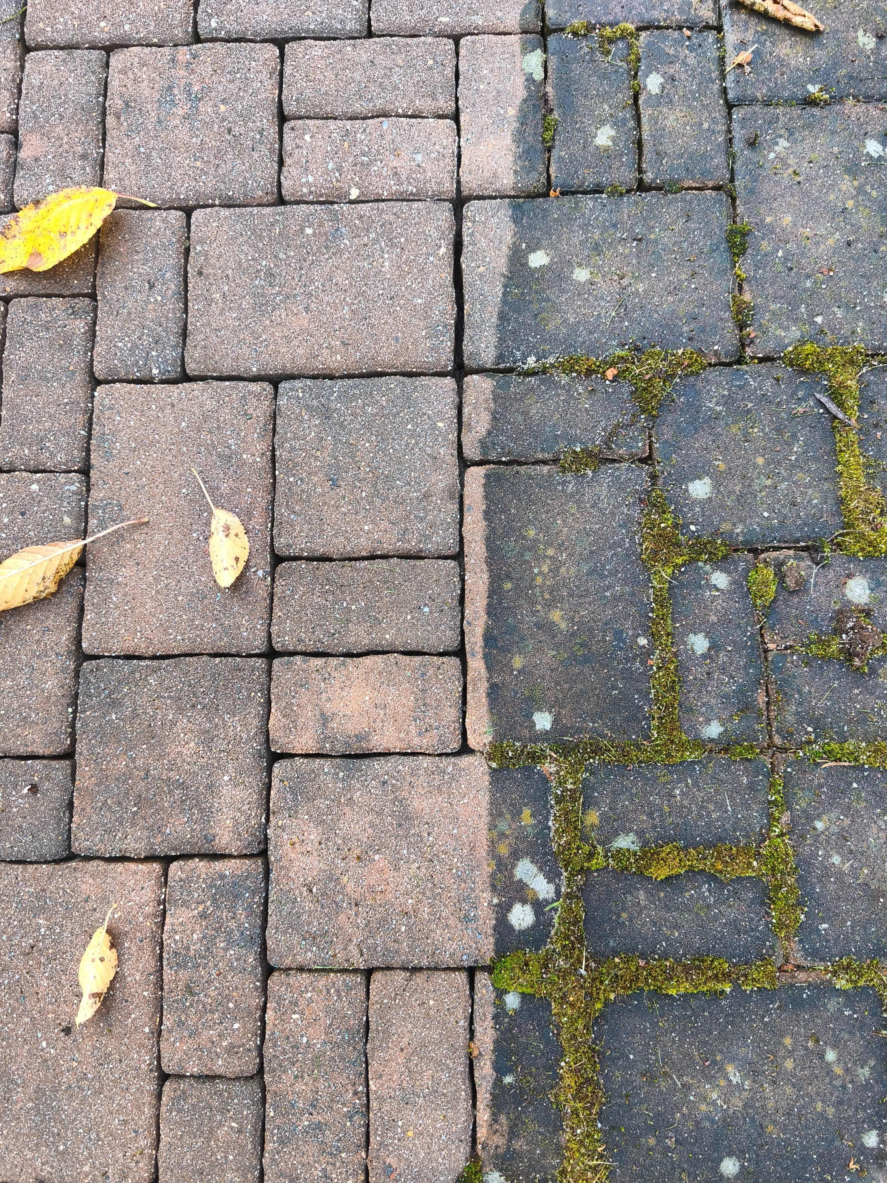 obrázek naší práce