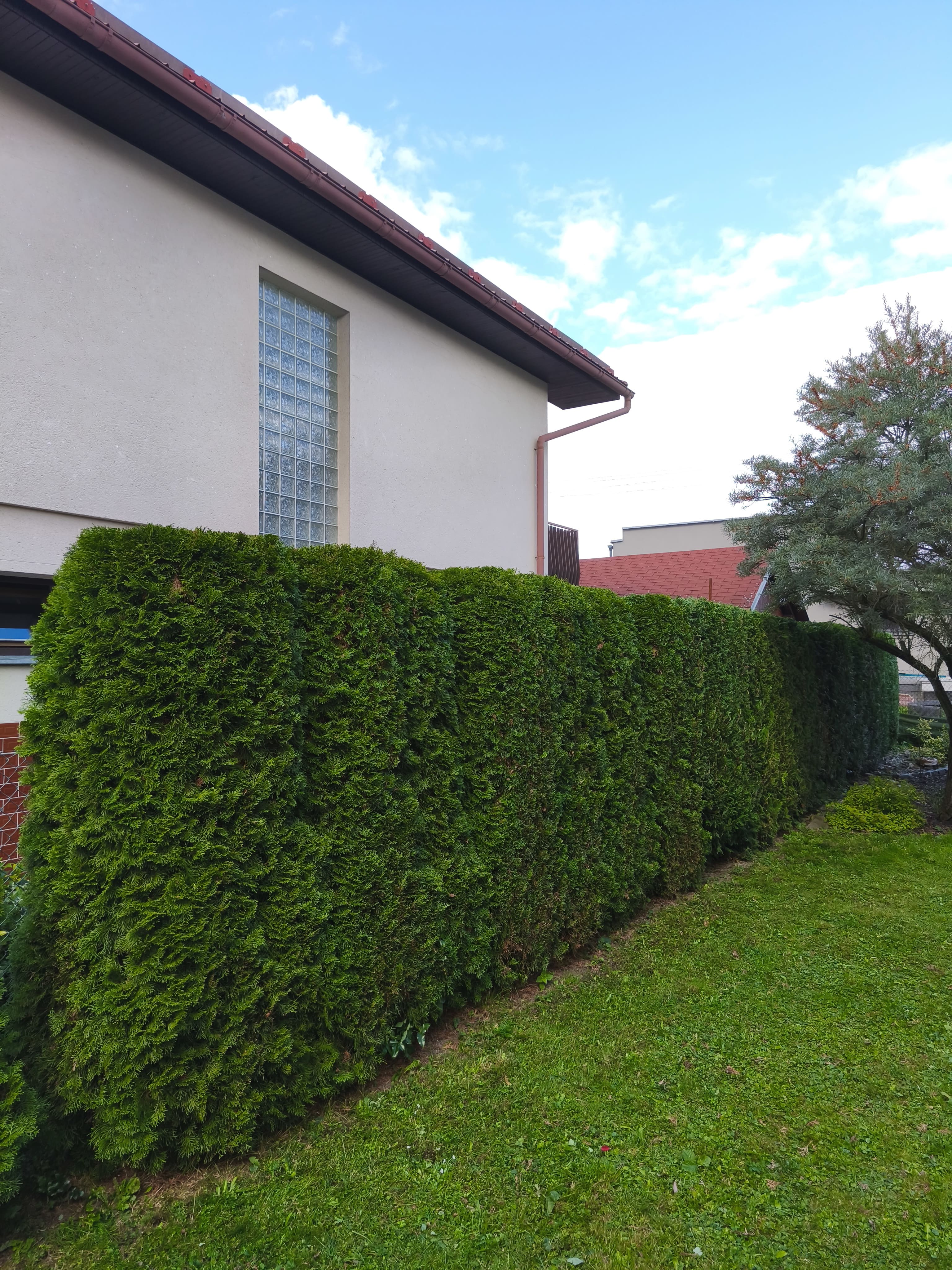 ukázka naší práce