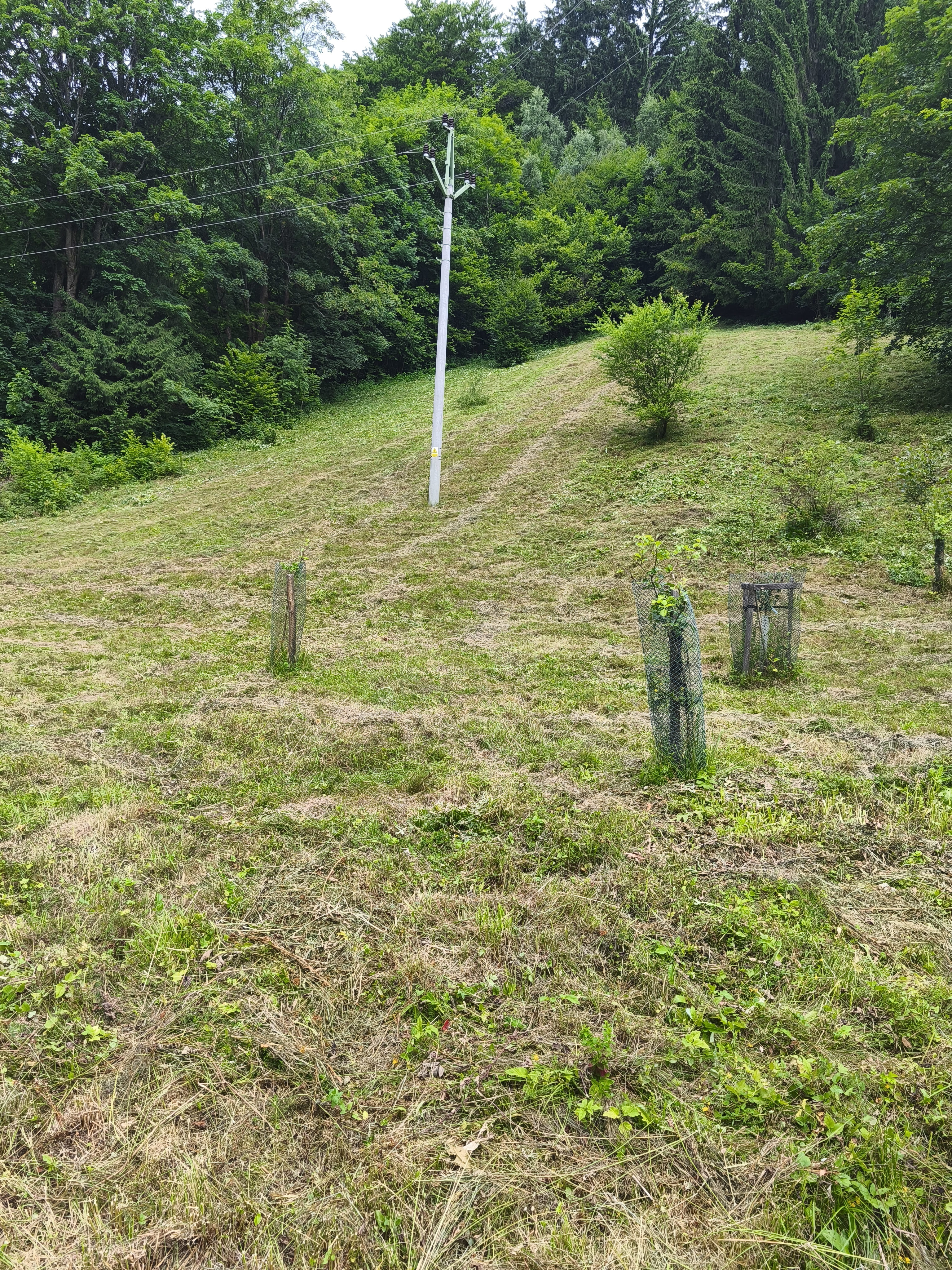 ukázka naší práce