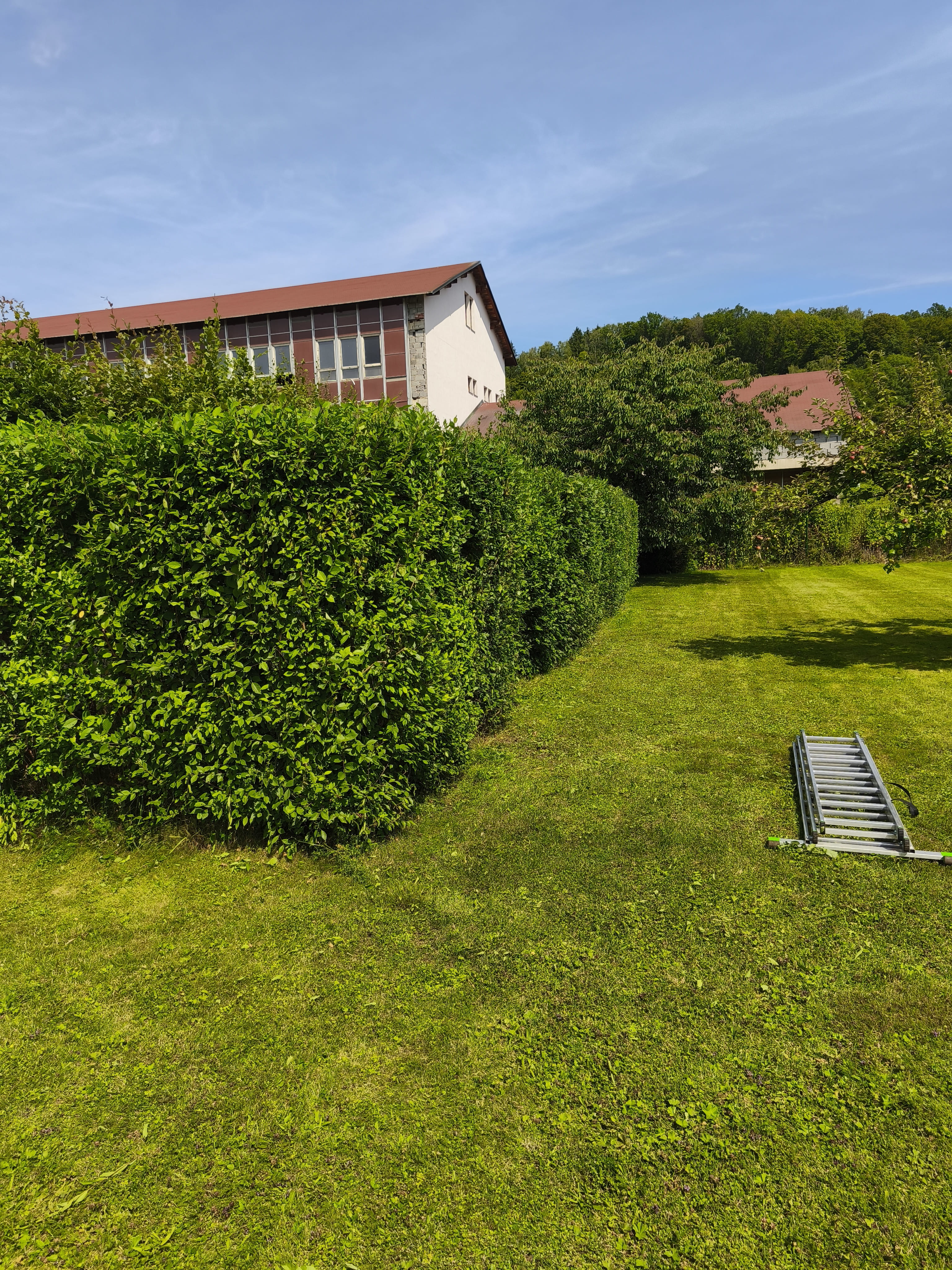 ukázka naší práce