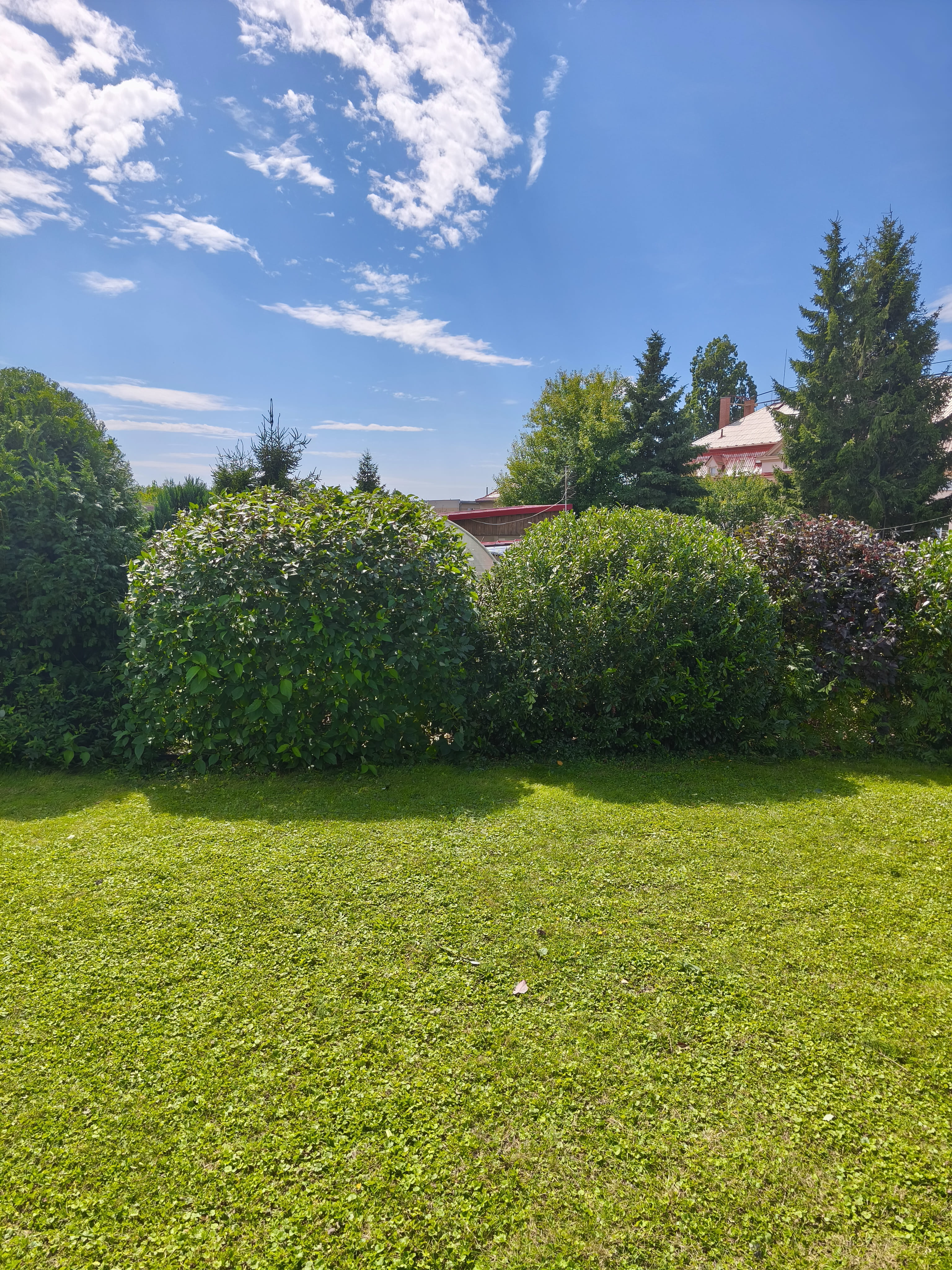 ukázka naší práce